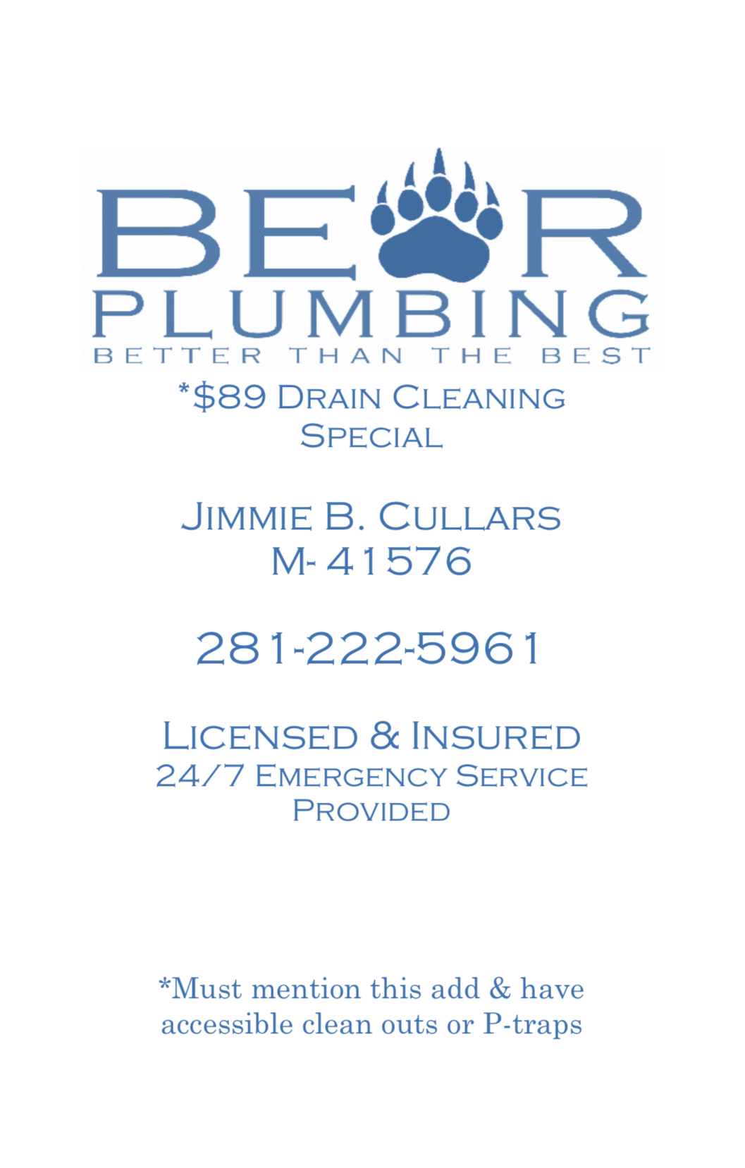 Bear Plumbing Logo and Flyer
